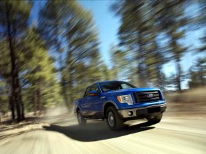Ford F-150 FX4 2008 года